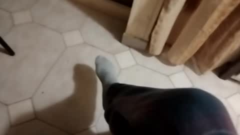 ciccilli online show from 10.16.25