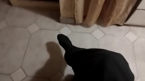 ciccilli online show from 10.17.25