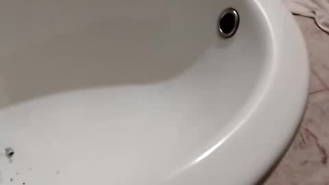 ciccilli online show from 10.26.25