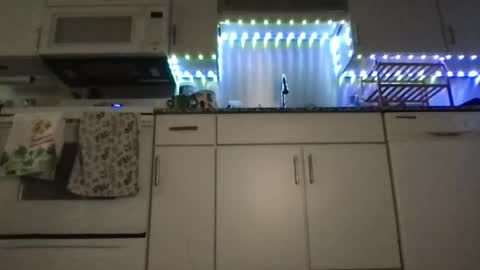 Carmen online show from 08.03.26