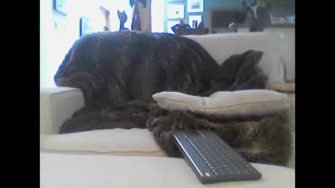 clitboy658752 online show from 01.14.26