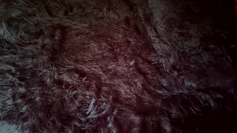 clydeninethousand online show from 09.20.25