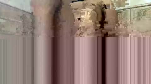 Snapshot of cockdoc4444 chatting on 10.15.25 cockdoc4444 online show from 10.15.25