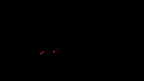 cockdoctor11 online show from 10.24.25