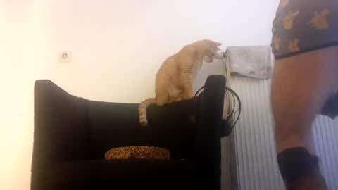 cockholder420 online show from 11.23.25