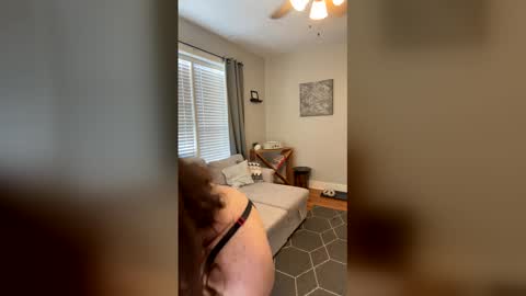 Code By Nova online show from 12.18.25