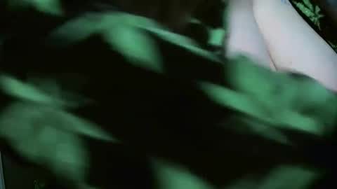 TheGoddessCodie online show from 12.29.24