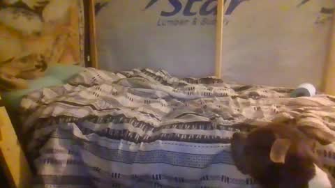 lickerpro69 online show from 02.13.26