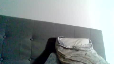 Snapshot of college_muscle chatting on 01.01.25 foreverxshredded online show from 01.01.25