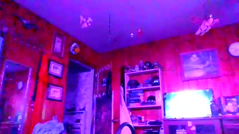 Comforter8 online show from 11.02.25