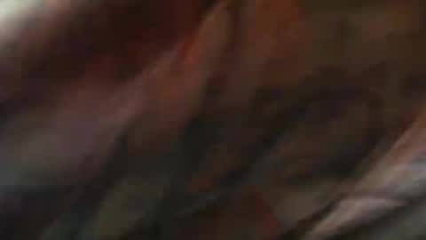 comox online show from 02.10.25