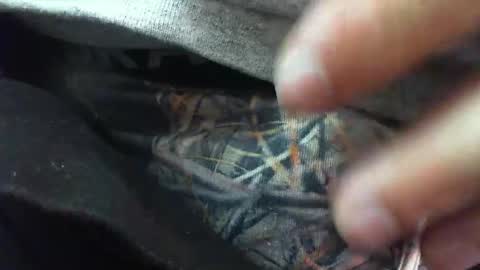 comox online show from 03.06.25