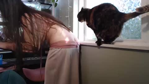 Snapshot of constantcumquest chatting on 09.26.25 ANR Mommy online show from 09.26.25