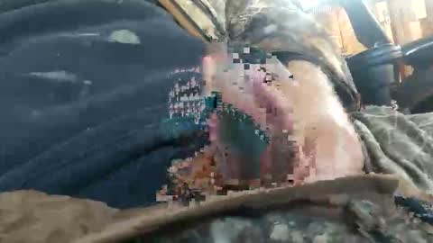 cornfed15c online show from 11.23.25