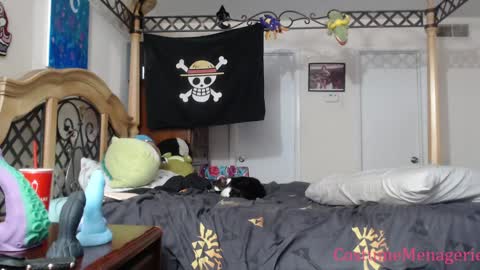 Amethyst Cox online show from 01.17.25