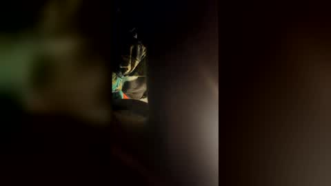 Snapshot of cowboy277228 chatting on 03.24.26 cowboy277228 online show from 03.24.26