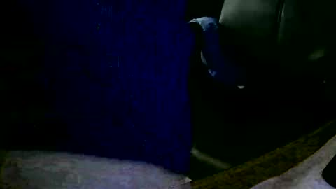 coyote017 online show from 01.31.25