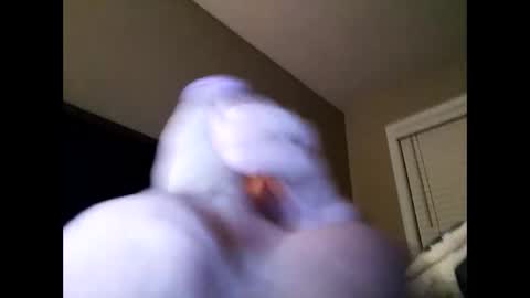 Snapshot of cranada777 chatting on 02.24.25 Cranada777 online show from 02.24.25