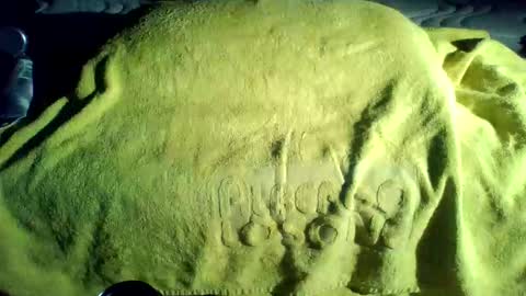 crave_me_ online show from 11.20.25