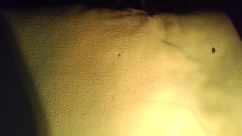 crave_me_ online show from 11.29.25