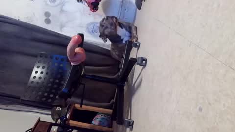 drbucknaked online show from 10.29.25