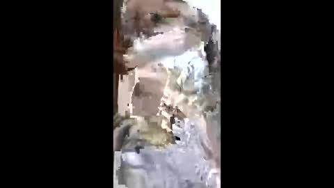 SUSAN online show from 05.04.26