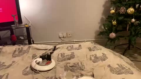 Creamycouple1 online show from 12.27.24