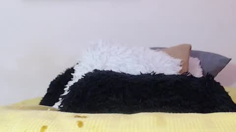 Snapshot of cristian_suarezz chatting on 01.15.25 online show from 01.15.25