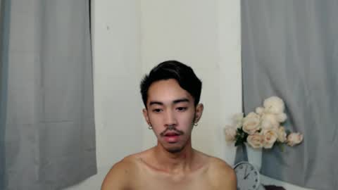 crocodale online show from 10.11.25