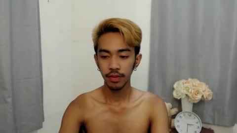 crocodale online show from 11.29.25