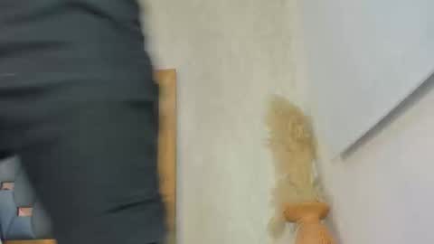 Snapshot of crystal_sm chatting on 02.27.26 crystal_sm online show from 02.27.26