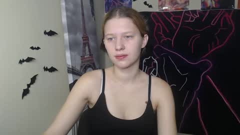 Stella online show from 11.12.25