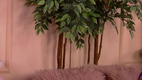 crystallred online show from 02.18.26