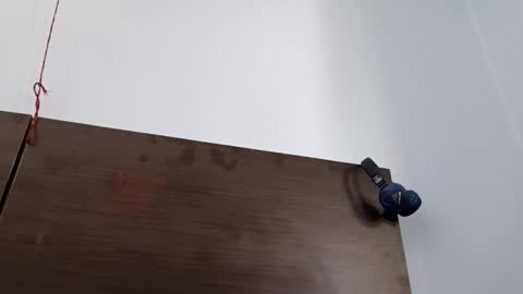 cuddlemuffins online show from 03.08.26