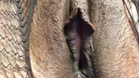 Nambuusi Irene online show from 02.16.26