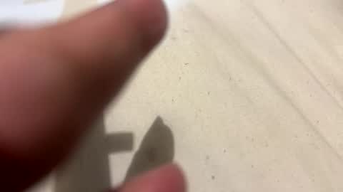 im KIM new girl to spoil online show from 10.21.25