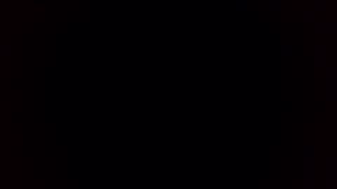 Breeding Bull USA online show from 02.03.26