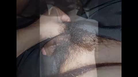 Noha online show from 01.13.26