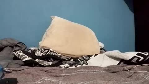 Snapshot of cumbian_chero chatting on 02.22.25 cumbian_chero online show from 02.22.25