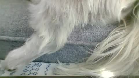 cumfestlover online show from 09.14.25