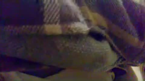 Snapshot of cumnridewa chatting on 06.17.26 cumtowa online show from 06.17.26