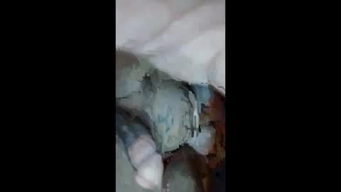 Snapshot of cumsinmealot chatting on 09.23.25 Aprilia online show from 09.23.25