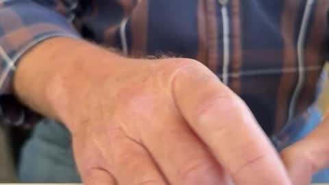 curio online show from 04.03.26