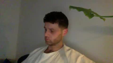 curiousnesssssss online show from 01.07.26