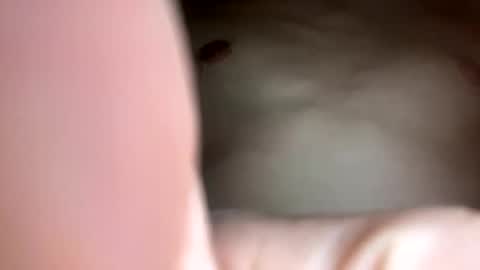 curvy24777 online show from 02.23.25