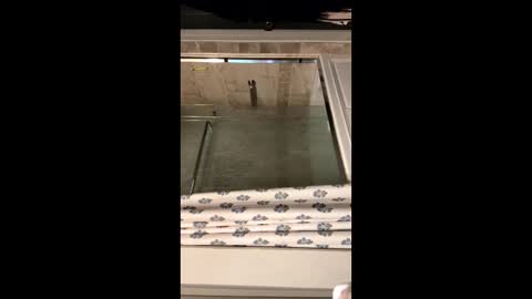 curvyd454066 online show from 09.26.25