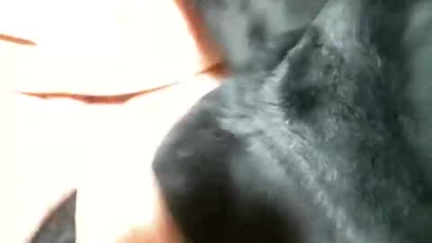 BI SMOOTH MATURE  SUB online show from 03.05.25