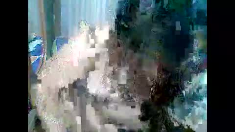 Snapshot of cutechubbyasian chatting on 04.26.26 cutechubbyasian online show from 04.26.26