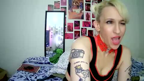 Bella online show from 03.15.26