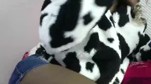 cutezola online show from 03.27.26